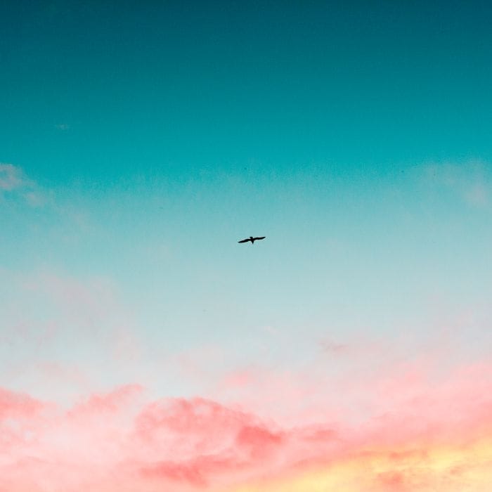 Angi.com (Angie’s List) - Property Maintenance