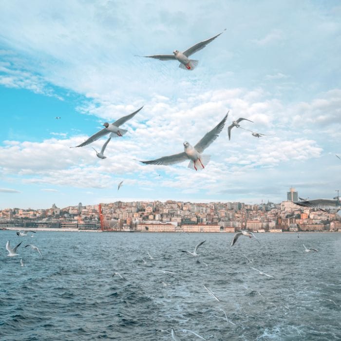 DoorLoop.com - Property Management