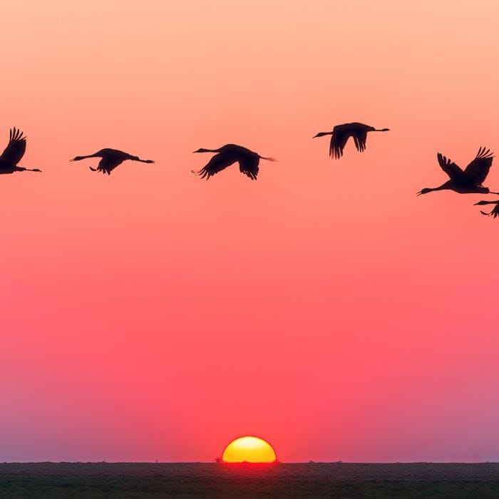 Honeyhomes.com - Property Maintenance