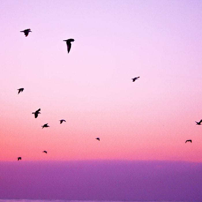 Houzz.com - Home Improvement