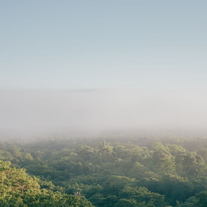 Matterport.com - Property Listings