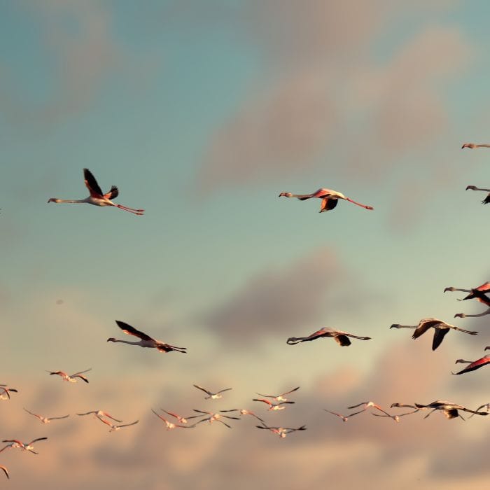 Property Management Companies Index